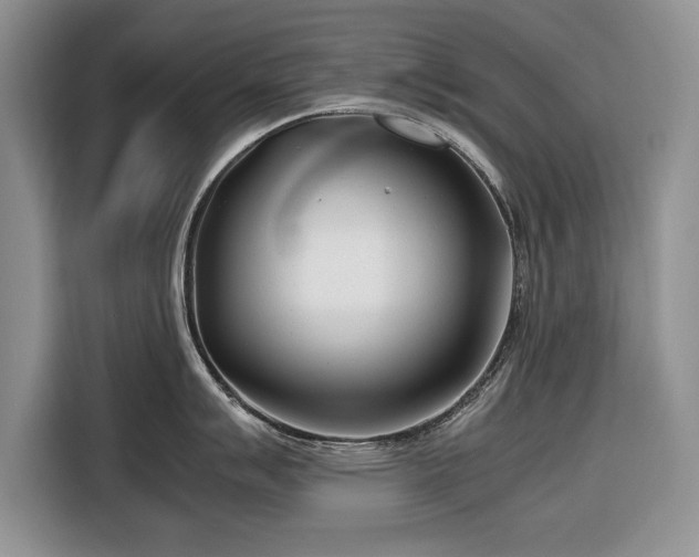 X0000116661007200912211503