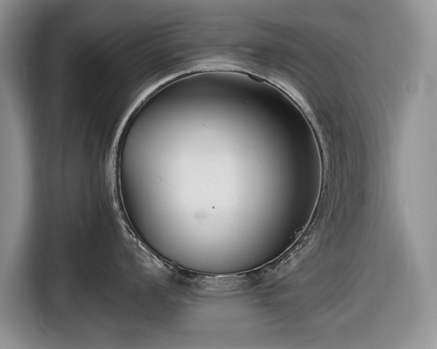 X0000116661008200912211503