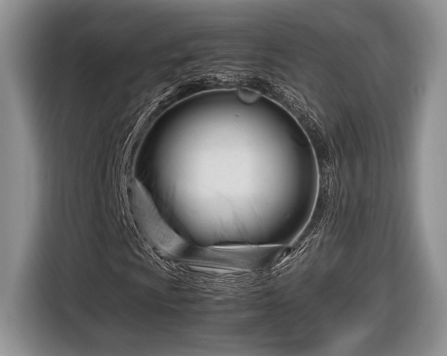 X0000116661009200912211503