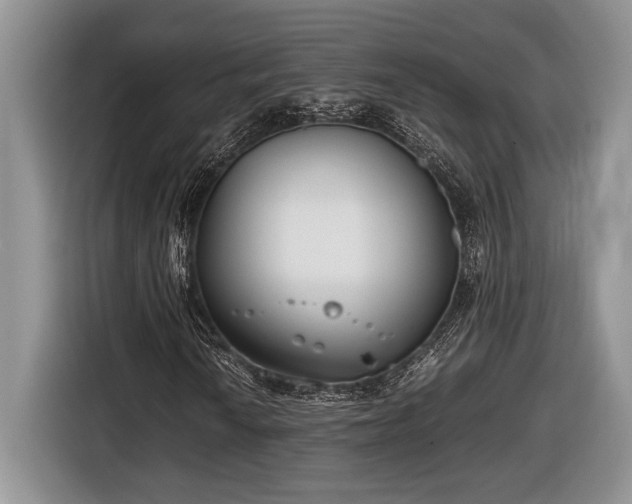 X0000116661010200912211503