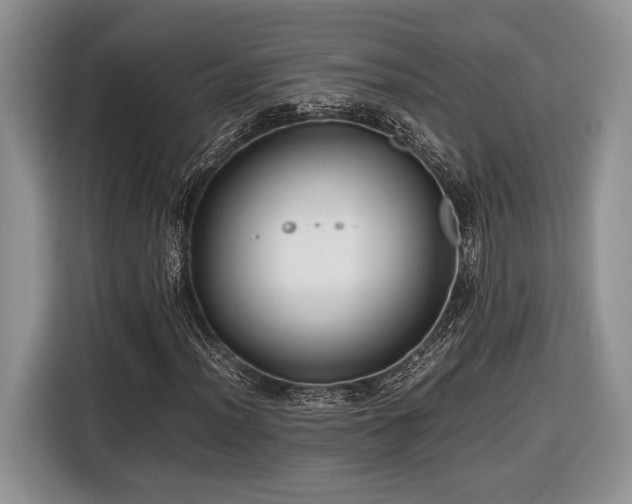 X0000116661012200912211503