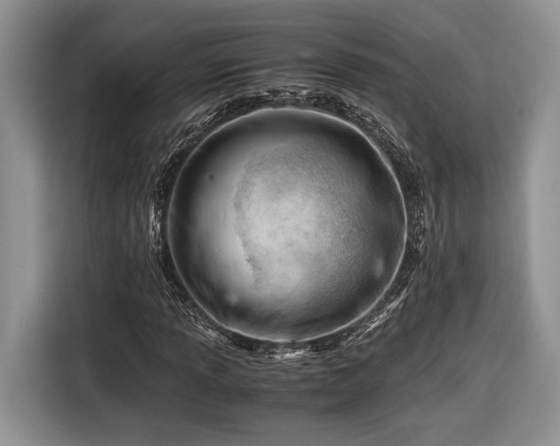 X0000116661013200912211503