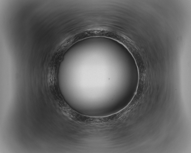 X0000116661014200912211503