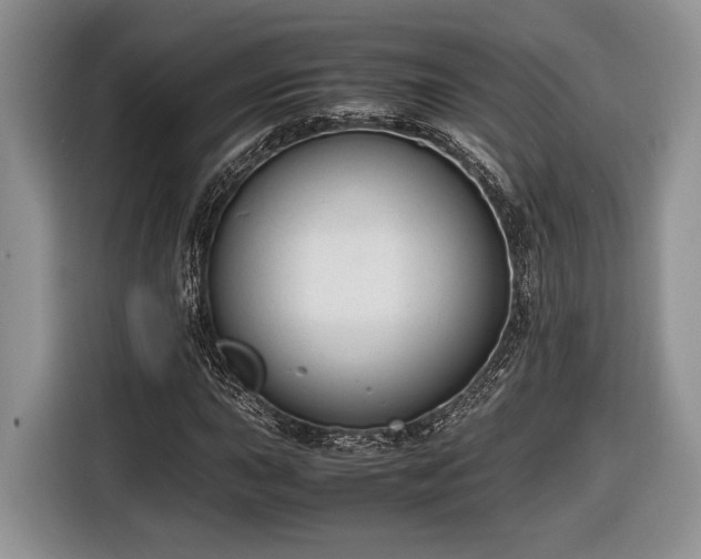 X0000116661015200912211503