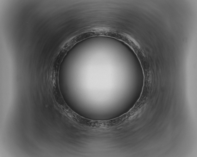 X0000116661016200912211503