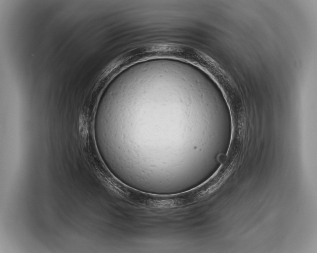 X0000116661017200912211503