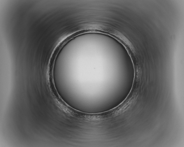 X0000116661020200912211503