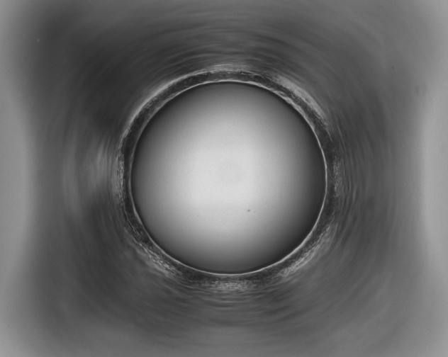 X0000116661021200912211503