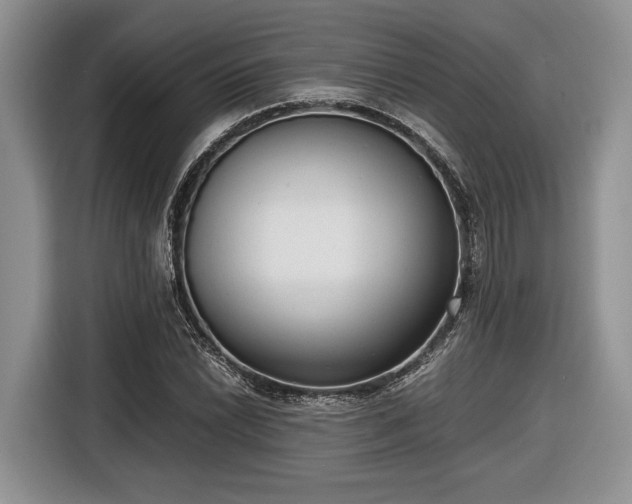 X0000116661022200912211503