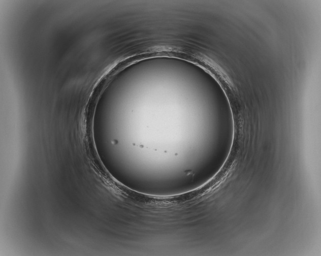 X0000116661023200912211503