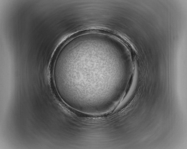 X0000116661024200912211503