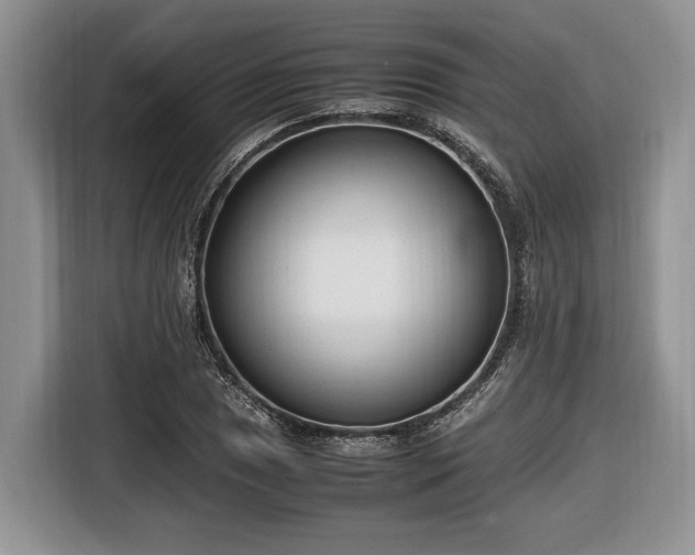 X0000116661025200912211503