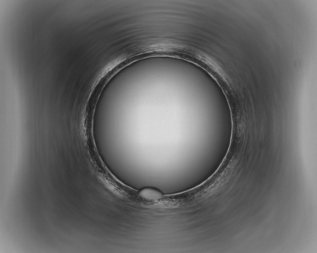 X0000116661026200912211503