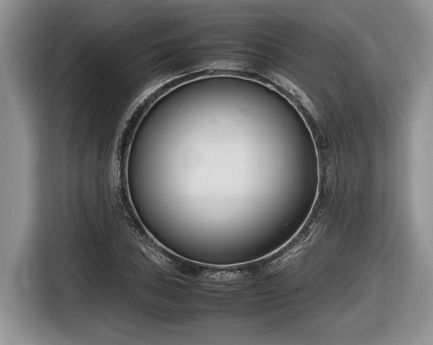 X0000116661027200912211503