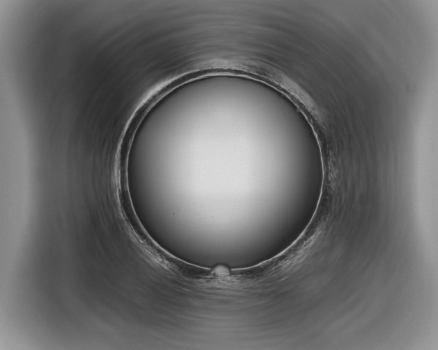 X0000116661028200912211503