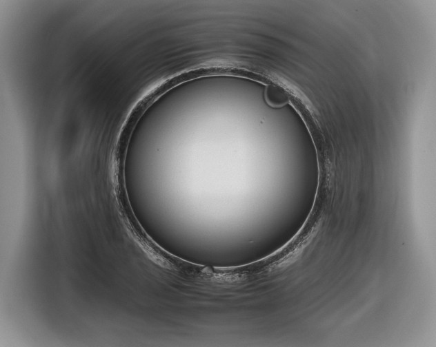 X0000116661029200912211503