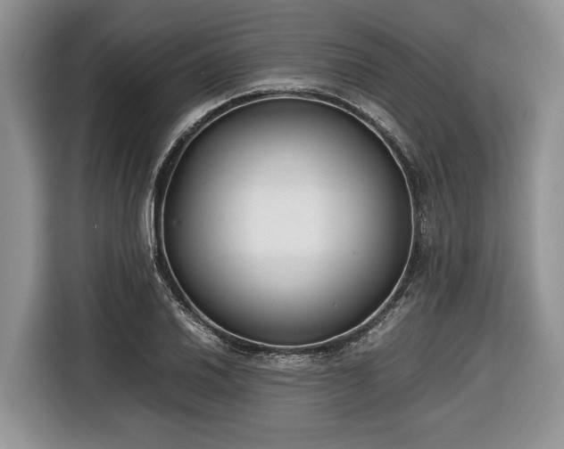 X0000116661030200912211503