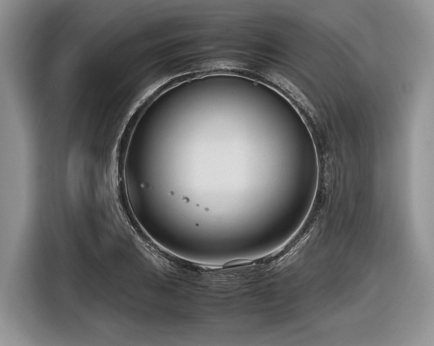 X0000116661031200912211503