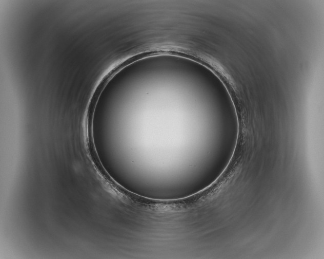 X0000116661032200912211503