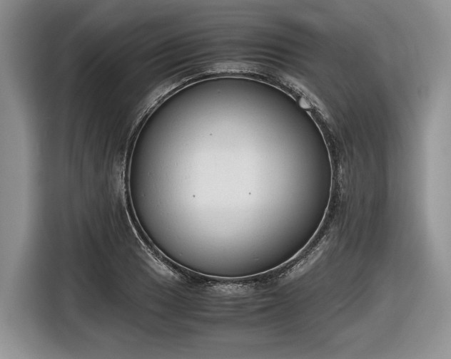 X0000116661033200912211503