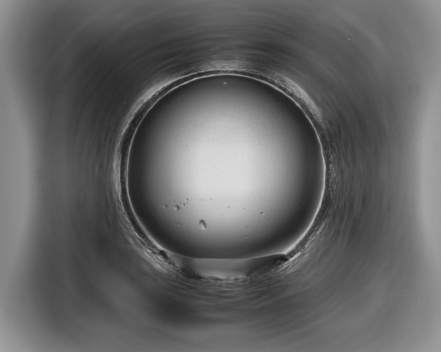 X0000116661035200912211503