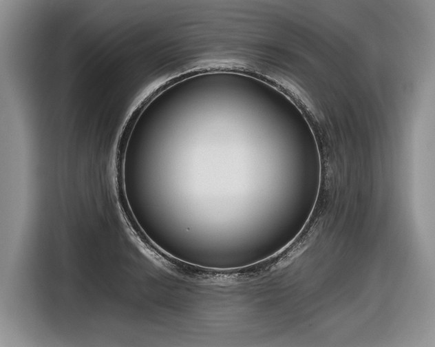 X0000116661038200912211503