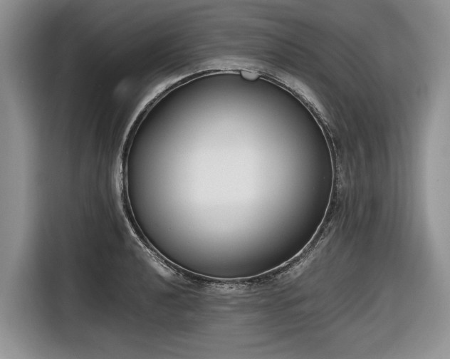 X0000116661040200912211503