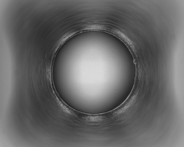 X0000116661041200912211503