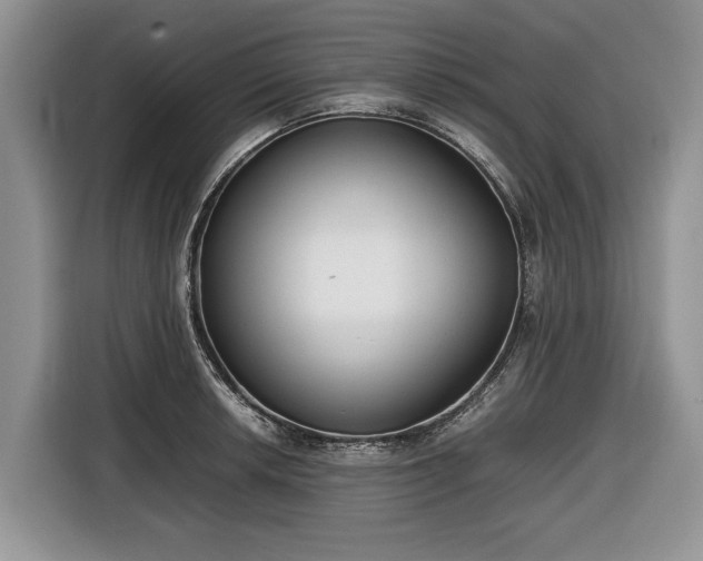 X0000116661042200912211503