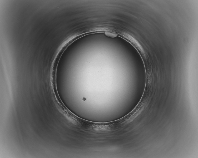 X0000116661043200912211503