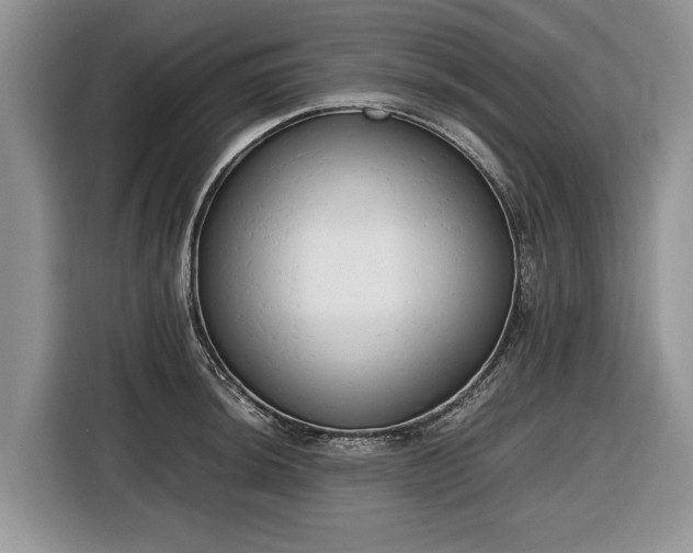 X0000116661044200912211503