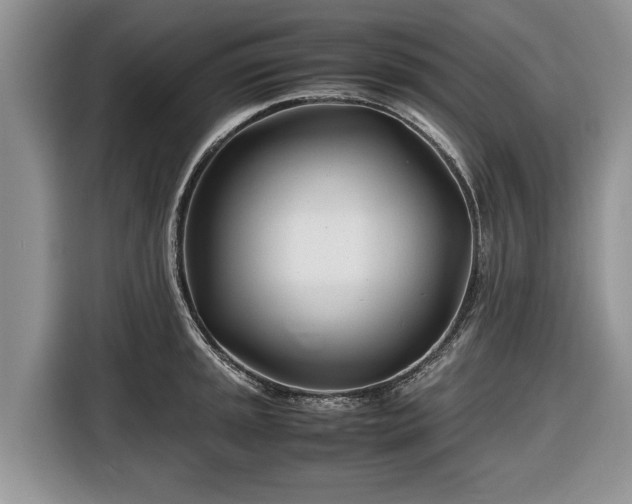 X0000116661045200912211503