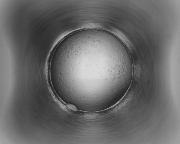 X0000116661046200912211503