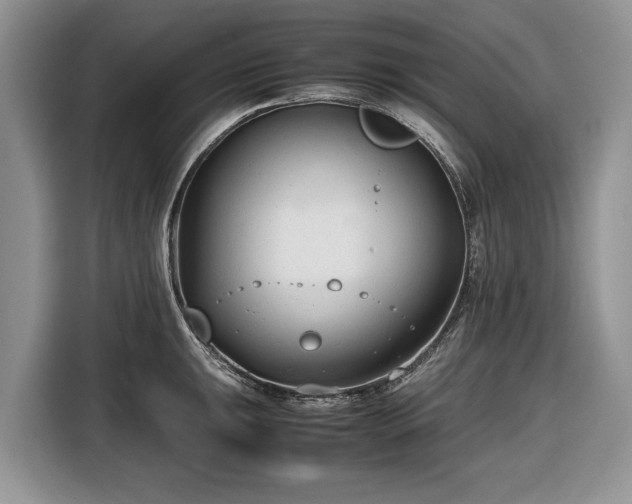 X0000116661047200912211503