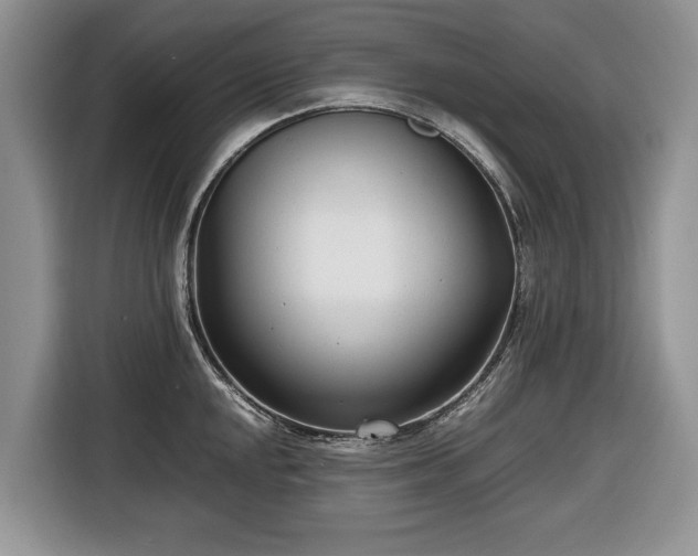 X0000116661048200912211503