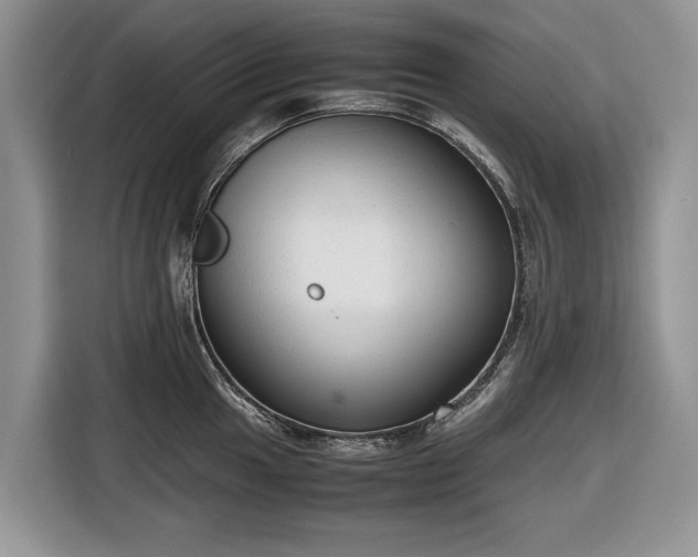 X0000116661049200912211503