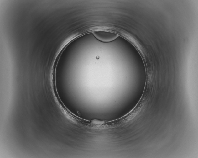 X0000116661050200912211503