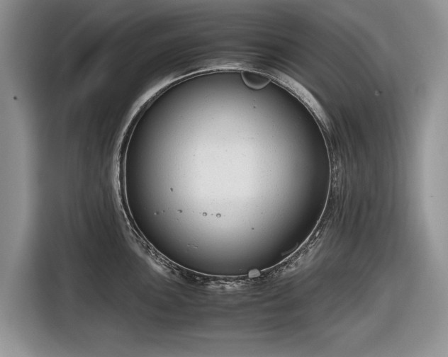 X0000116661051200912211503