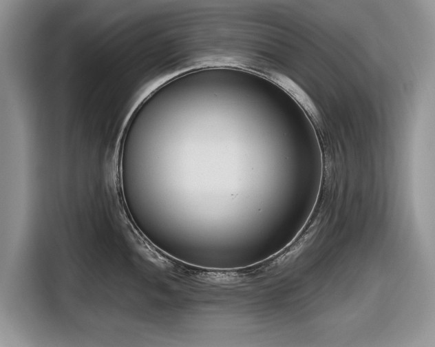 X0000116661052200912211503