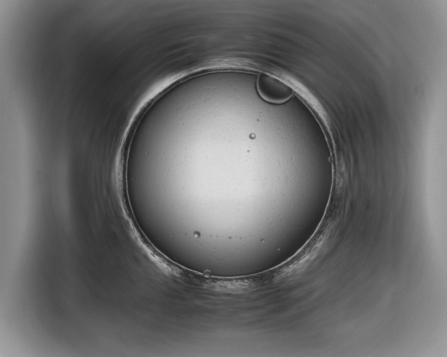 X0000116661053200912211503