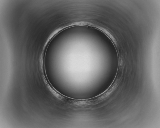 X0000116661054200912211503