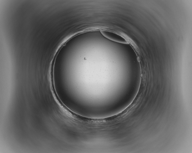 X0000116661055200912211503