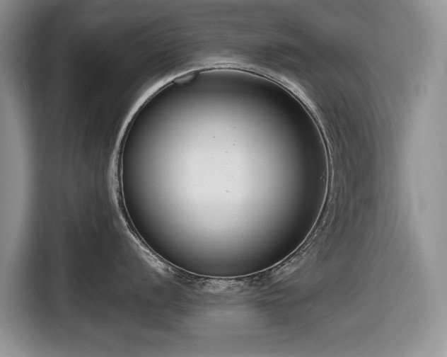 X0000116661056200912211503