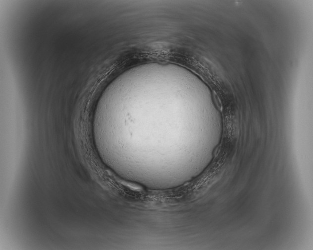 X0000116661057200912211503