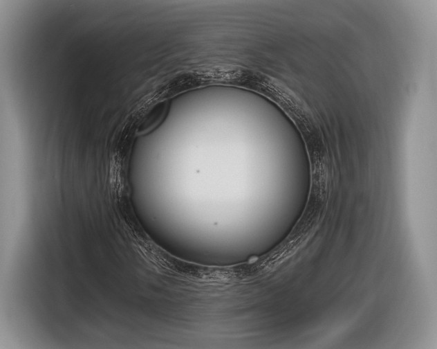 X0000116661058200912211503