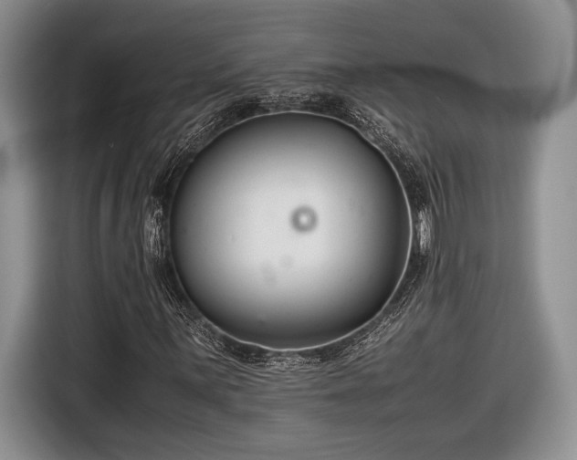 X0000116661059200912211503