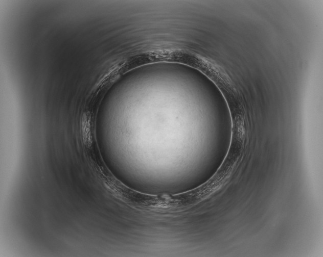 X0000116661060200912211503