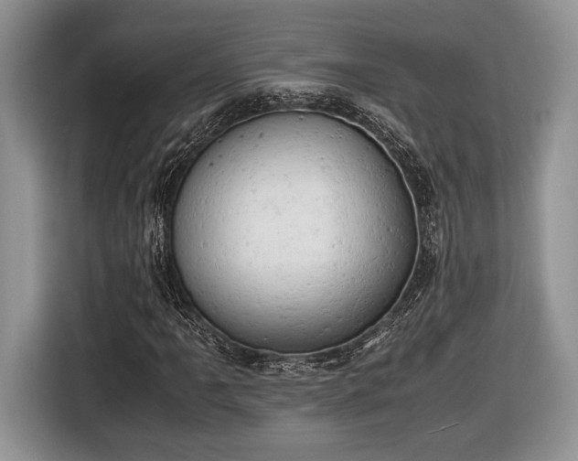 X0000116661061200912211503