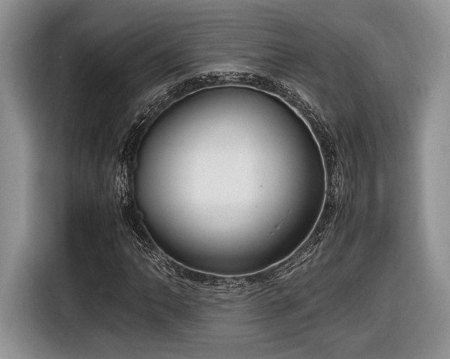 X0000116661062200912211503