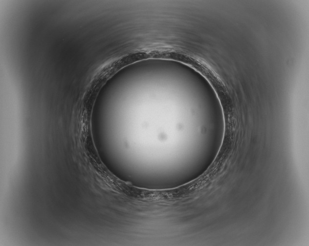 X0000116661063200912211503